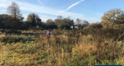 Labrit Terrain à bâtir - 2359083-5828annonce120250314Z2Xla.jpeg Maisons Open