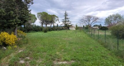 Sainte-Cécile-les-Vignes Terrain à bâtir - 2359090-812annonce120250407hrfFq.jpeg Maisons Open