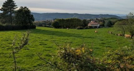 Laveyron Terrain à bâtir - 2294987-11248annonce220251201Fq3Sr.jpeg Maisons Open