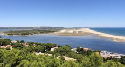 La Palme Terrain à bâtir - 2359640-4671annonce120251205U6xBE.jpeg Maisons Open