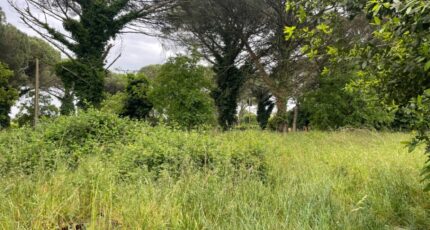 Saint-Maixant Terrain à bâtir - 2358096-10677annonce1202512059bhhW.jpeg Maisons Open