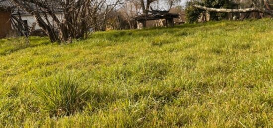 Terrain à bâtir à Saint-Caprais-de-Bordeaux, Nouvelle-Aquitaine
