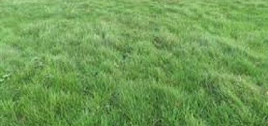 Terrain à bâtir à Machault, Île-de-France