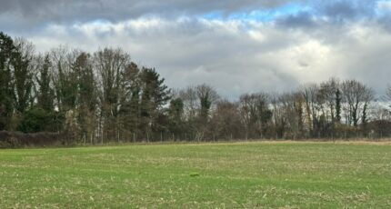 Nantouillet Terrain à bâtir - 2359895-11572annonce120251206XyScG.jpeg Maisons Open