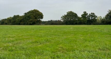 Alençon Terrain à bâtir - 2293660-3704annonce120251003UxkmG.jpeg Maisons Open