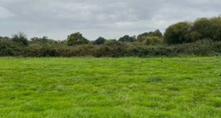 Saint-Germain-du-Corbéis Terrain à bâtir - 2293680-3704annonce120251003xRQBo.jpeg Maisons Open