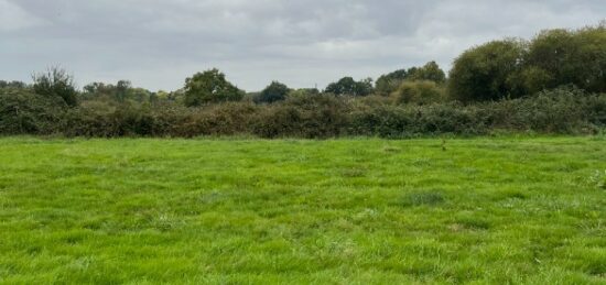 Terrain à bâtir à Saint-Germain-du-Corbéis, Normandie