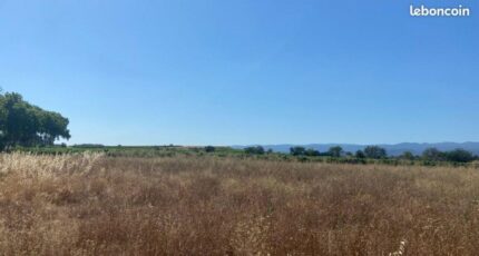 Olonzac Terrain à bâtir - 2298061-10986annonce120251008mIHnU.jpeg Maisons Open