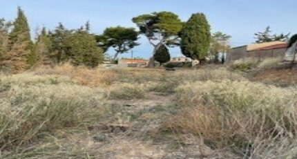 Rieux-Minervois Terrain à bâtir - 2298031-10986annonce120251008i2skP.jpeg Maisons Open