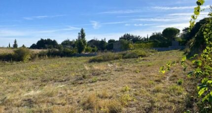 Palaja Terrain à bâtir - 2298139-10986annonce1202510087kcGF.jpeg Maisons Open