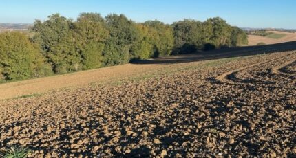 Montbrun-Lauragais Terrain à bâtir - 2359446-5771annonce120251205PseAo.jpeg Maisons Open