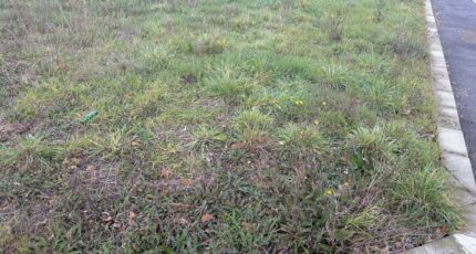 Verfeil Terrain à bâtir - 2358209-11356annonce220251205N8pnX.jpeg Maisons Open