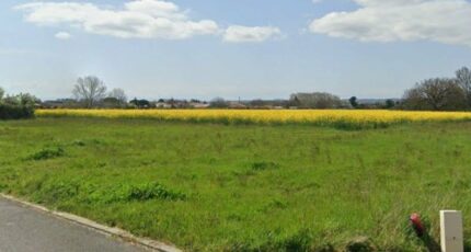 Auterive Terrain à bâtir - 2359770-6043annonce220251205aW0zm.jpeg Maisons Open