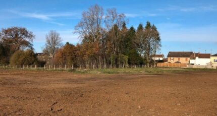 Panazol Terrain à bâtir - 2312814-11648annonce12025102167Js3.jpeg Maisons Open