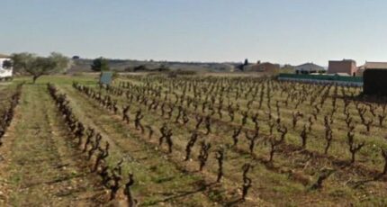 Cruzy Terrain à bâtir - 2256649-692annonce120250901nq6d6.jpeg Maisons Open