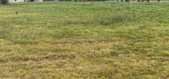 Terrain à bâtir à Saint-Laurent-Médoc, Nouvelle-Aquitaine