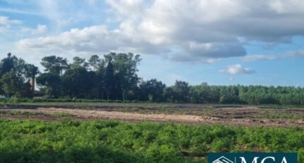 Laluque Terrain à bâtir - 2361154-5828annonce1202507096XCwl.jpeg Maisons Open