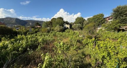 Toulon Terrain à bâtir - 2361193-11136annonce120251208LWy7X.jpeg Maisons Open