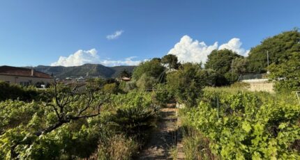 Toulon Terrain à bâtir - 2361193-11136annonce2202512083Dfpq.jpeg Maisons Open