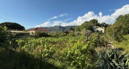 Toulon Terrain à bâtir - 2361193-11136annonce4202512083mkmF.jpeg Maisons Open