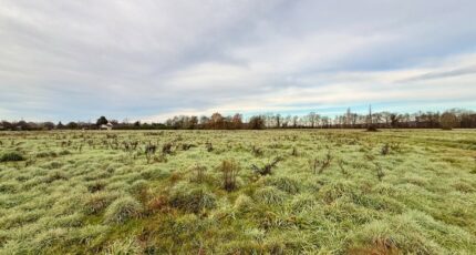 La Force Terrain à bâtir - 2361219-11709annonce2202512081Ub6V.jpeg Maisons Open