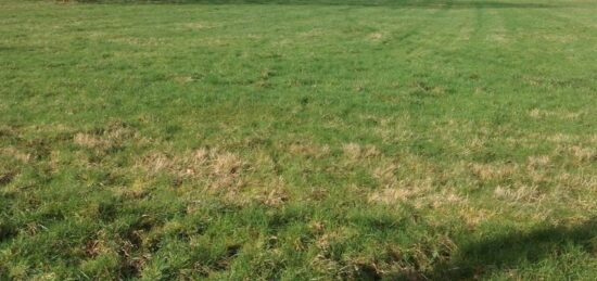 Terrain à bâtir à Lonlay-le-Tesson, Normandie