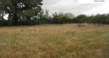 Saint-Laurent-des-Bois Terrain à bâtir - 2288095-11561annonce22025093029kRm.jpeg Maisons Open