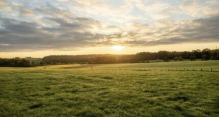 Le Barp Terrain à bâtir - 2361681-11358annonce120251208VykUv.jpeg Maisons Open