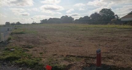 Oulmes Terrain à bâtir - 2250713-10941annonce120240805QFJKg.jpeg Maisons Open