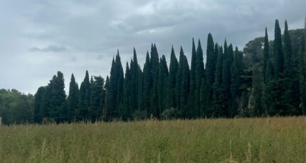 Saint-Étienne-du-Grès Terrain à bâtir - 2264810-11073annonce320250908ZX5pV.jpeg Maisons Open