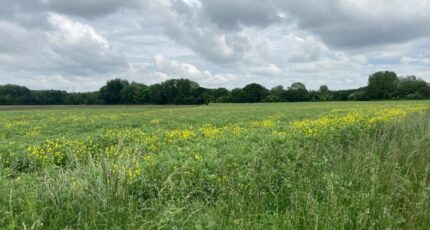 Carvin Terrain à bâtir - 2257898-1807annonce120250902aJTpE.jpeg Maisons Open