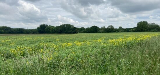 Terrain à bâtir à Carvin, Hauts-de-France