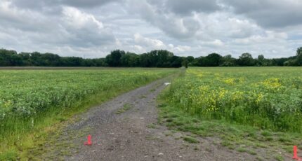 Carvin Terrain à bâtir - 2257898-1807annonce220250902LPSgu.jpeg Maisons Open