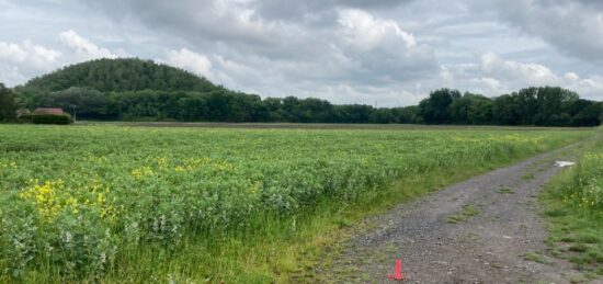 Terrain à bâtir à Carvin, Hauts-de-France