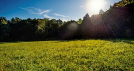 Wambrechies Terrain à bâtir - 2325127-10617annonce120251101d9LSP.jpeg Maisons Open