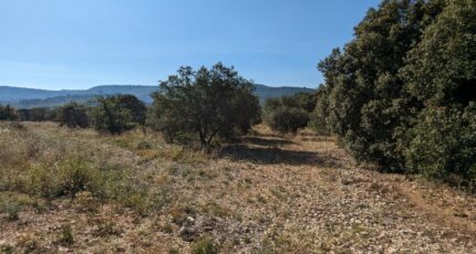 Rustrel Terrain à bâtir - 2273013-2970annonce320250916u0xm2.jpeg Maisons Open