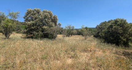 Rustrel Terrain à bâtir - 2272971-2970annonce2202509163qKZM.jpeg Maisons Open