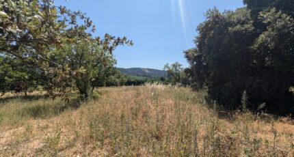 Rustrel Terrain à bâtir - 2272997-2970annonce120250916JrhGW.jpeg Maisons Open