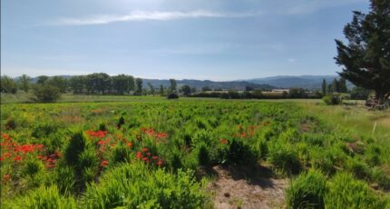 Gargas Terrain à bâtir - 2286714-2970annonce120250929AbJBf.jpeg Maisons Open