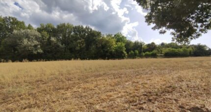 Apt Terrain à bâtir - 2286703-2970annonce120250929Wac8T.jpeg Maisons Open