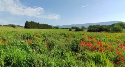 Gargas Terrain à bâtir - 2286716-2970annonce1202509297X8pX.jpeg Maisons Open