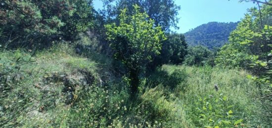 Terrain à bâtir à Aspremont, Provence-Alpes-Côte d'Azur
