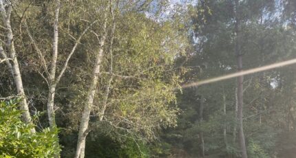 Saint-Aubin-de-Médoc Terrain à bâtir - 2288080-11016annonce120250930RFAcB.jpeg Maisons Open