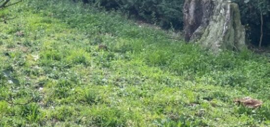 Terrain à bâtir à Blanquefort, Nouvelle-Aquitaine