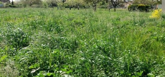 Terrain à bâtir à Bragayrac, Occitanie