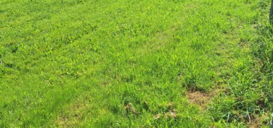 Terrain à bâtir à , Haute-Garonne