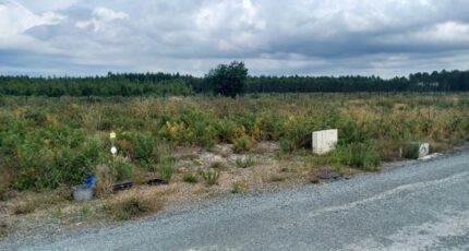 Marcheprime Terrain à bâtir - 2362881-3127annonce120250716VzWxp.jpeg Maisons Open