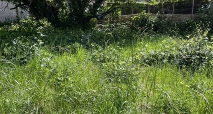 Gournay-sur-Marne Terrain à bâtir - 2261011-11570annonce120250904M9mNP.jpeg Maisons Open