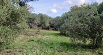 Ventabren Terrain à bâtir - 2363083-11680annonce420251210vve9I.jpeg Maisons Open