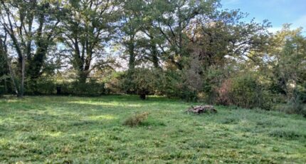 La Tour-d'Aigues Terrain à bâtir - 2363332-11680annonce1202512106xfr3.jpeg Maisons Open